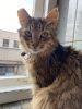 Eliot (4)